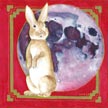 Rabbit Moon