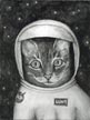 Luna the Catstronaut